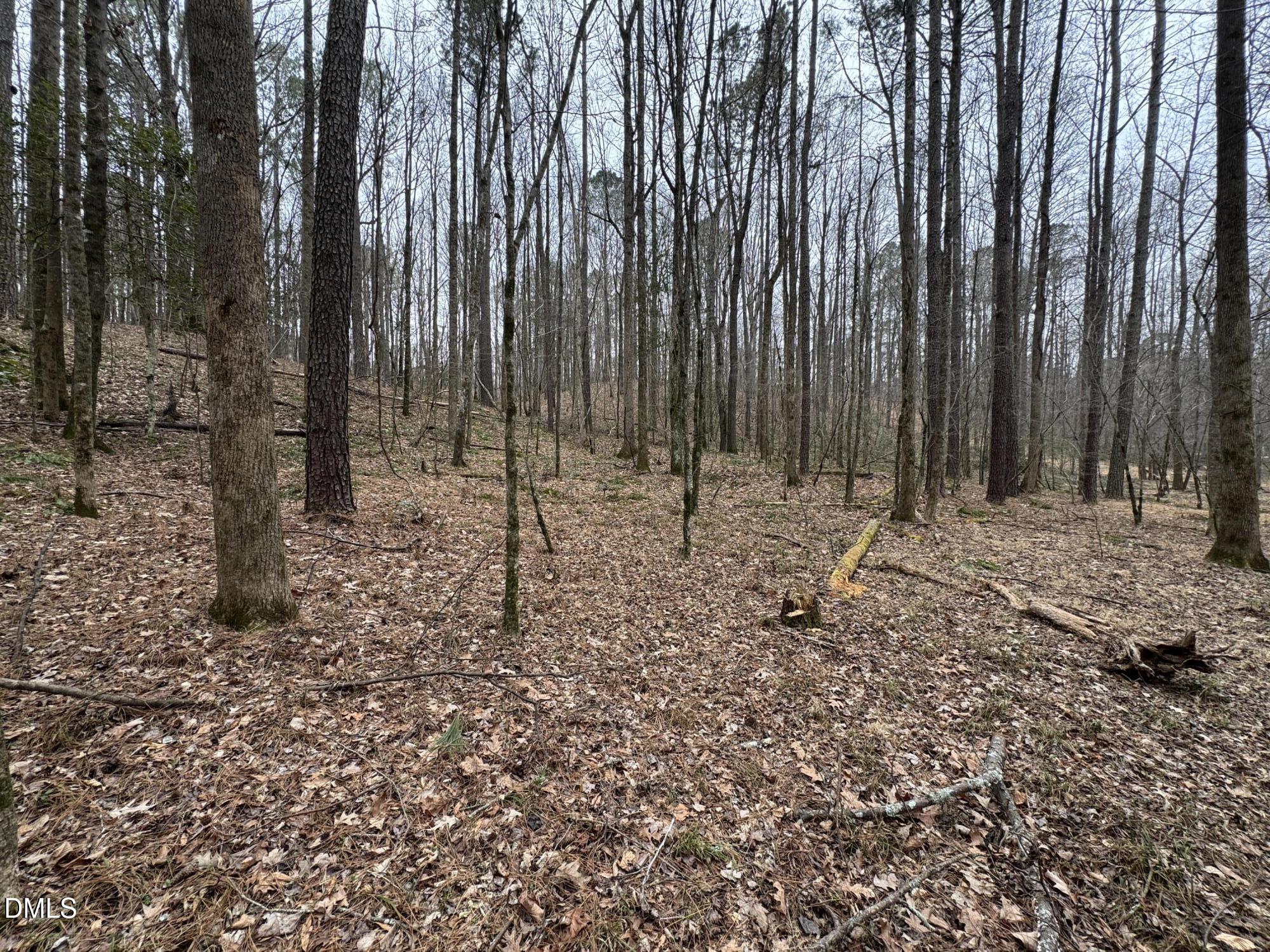 0 Eatmon Road Property Photo 55