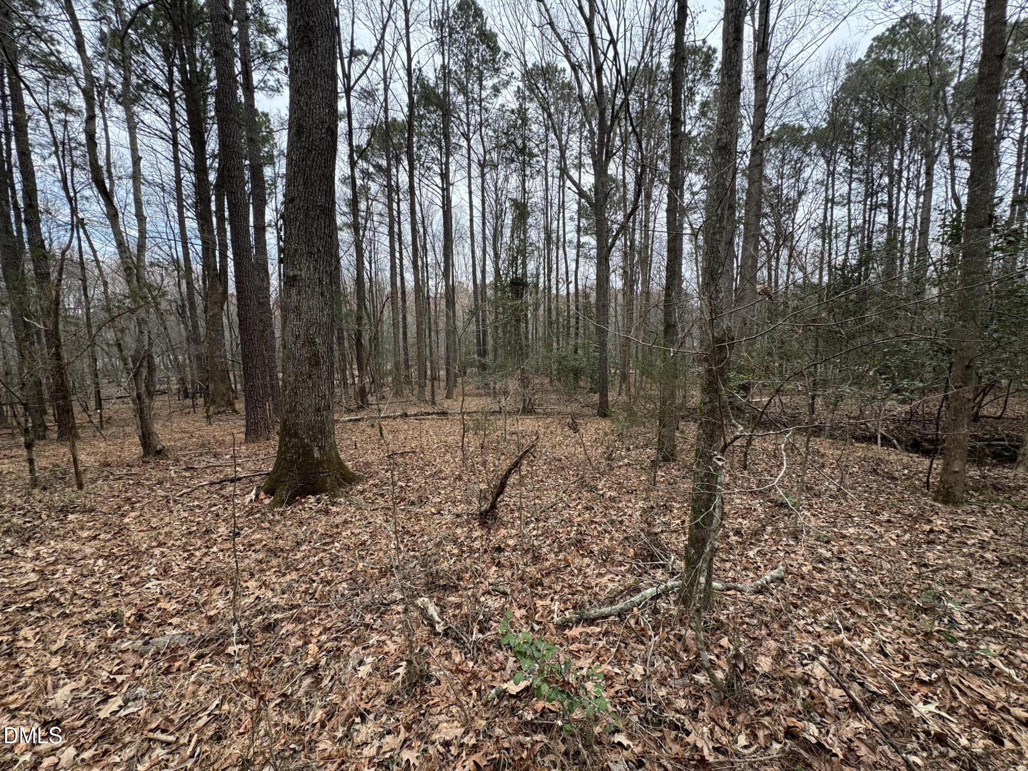0 Eatmon Road Property Photo 63