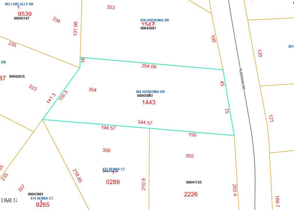 862 Hudsonia Drive Property Photo 2