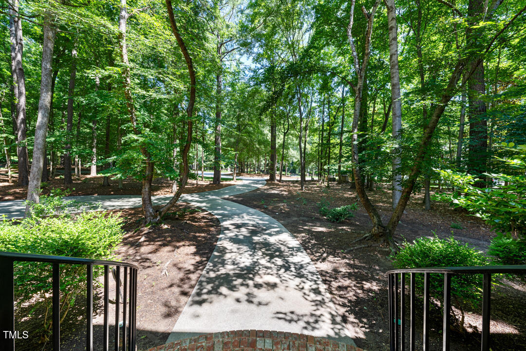 2602 Vintage Hill Court Property Photo 43