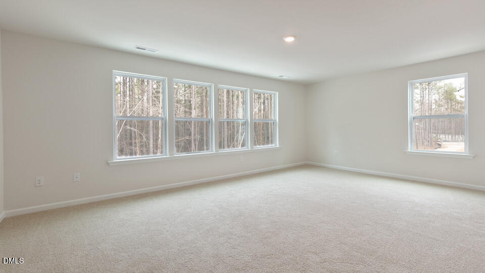 904 Sculptor Street Property Photo 16