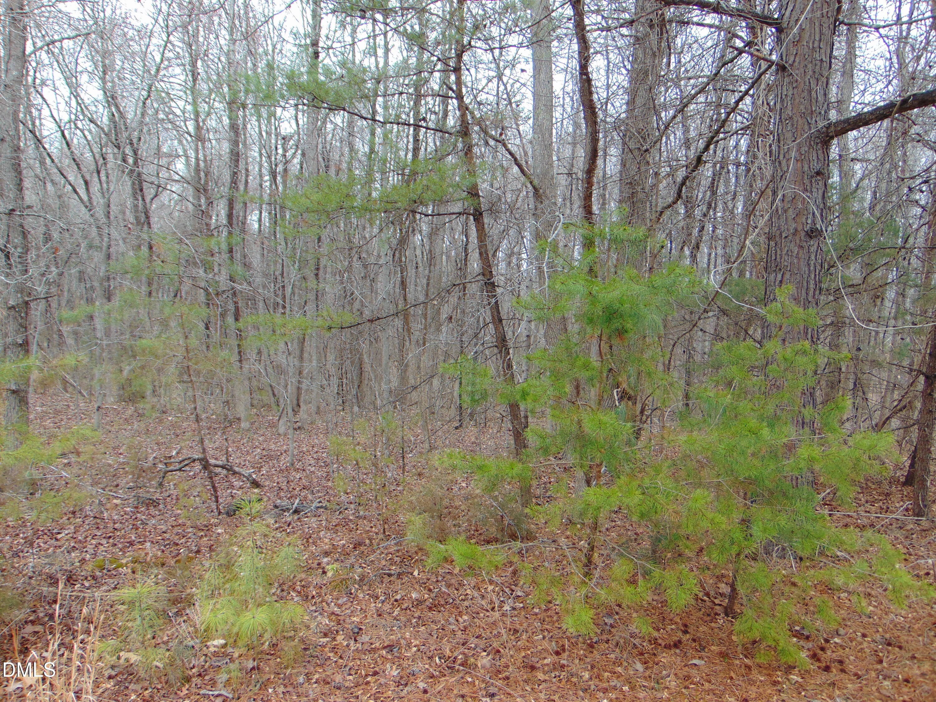 0 Fowlkes Road Property Photo 3