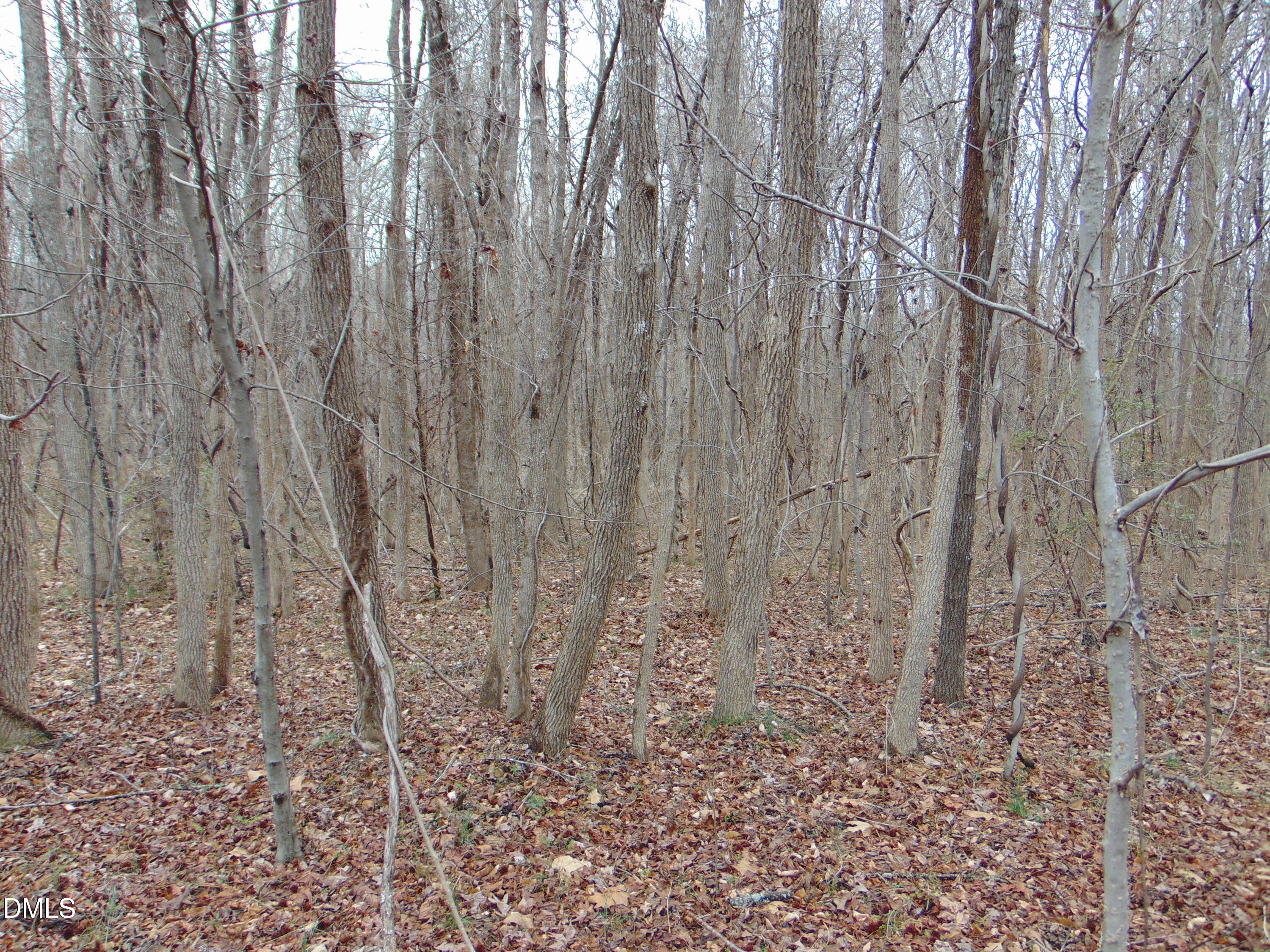 0 Fowlkes Road Property Photo 4
