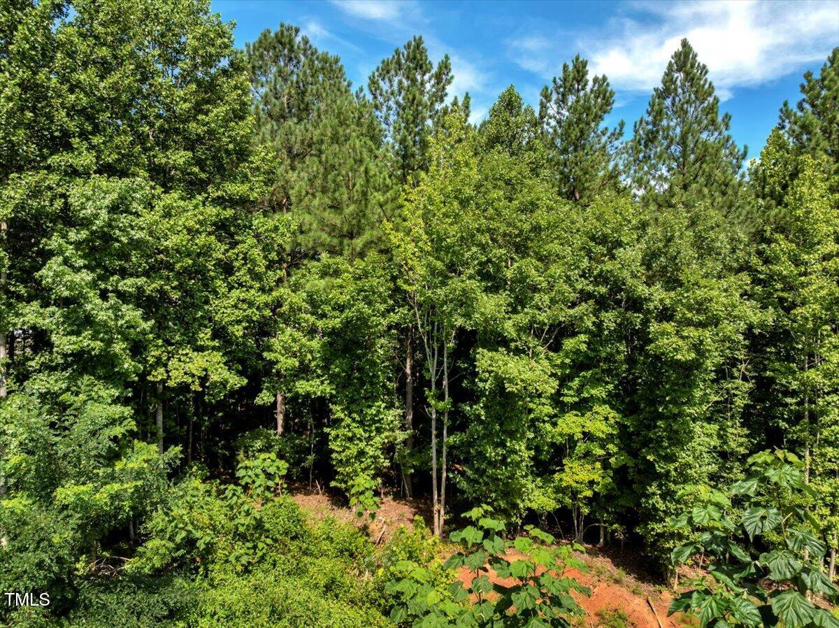 5310 Langdon Drive Property Photo 4