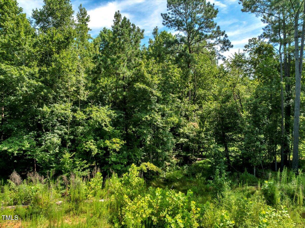 5310 Langdon Drive Property Photo 5