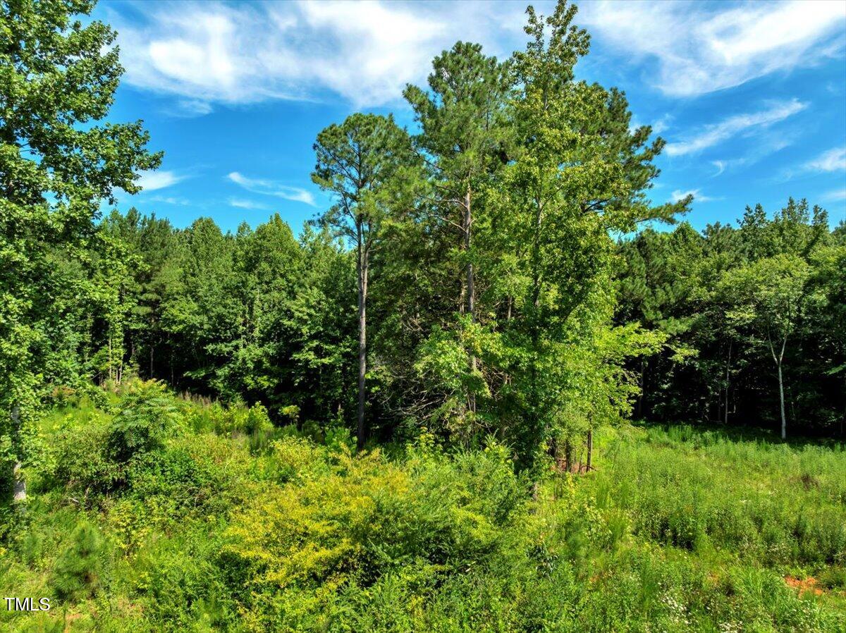 5310 Langdon Drive Property Photo 7