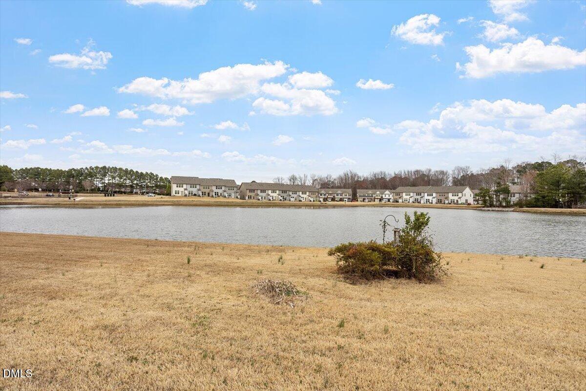 1013 Black River Drive Property Photo 9