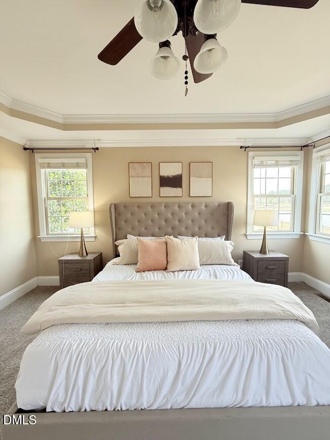 1013 Black River Drive Property Photo 35