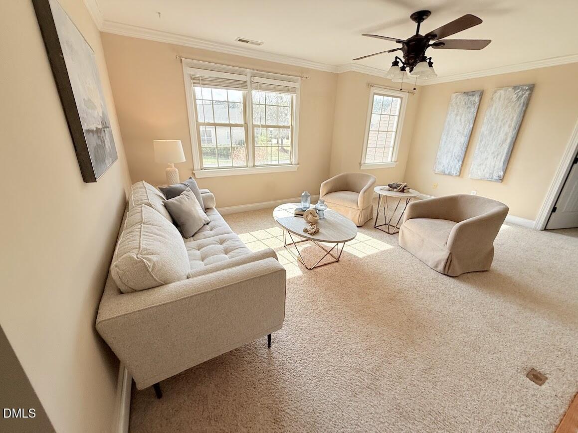 1013 Black River Drive Property Photo 41