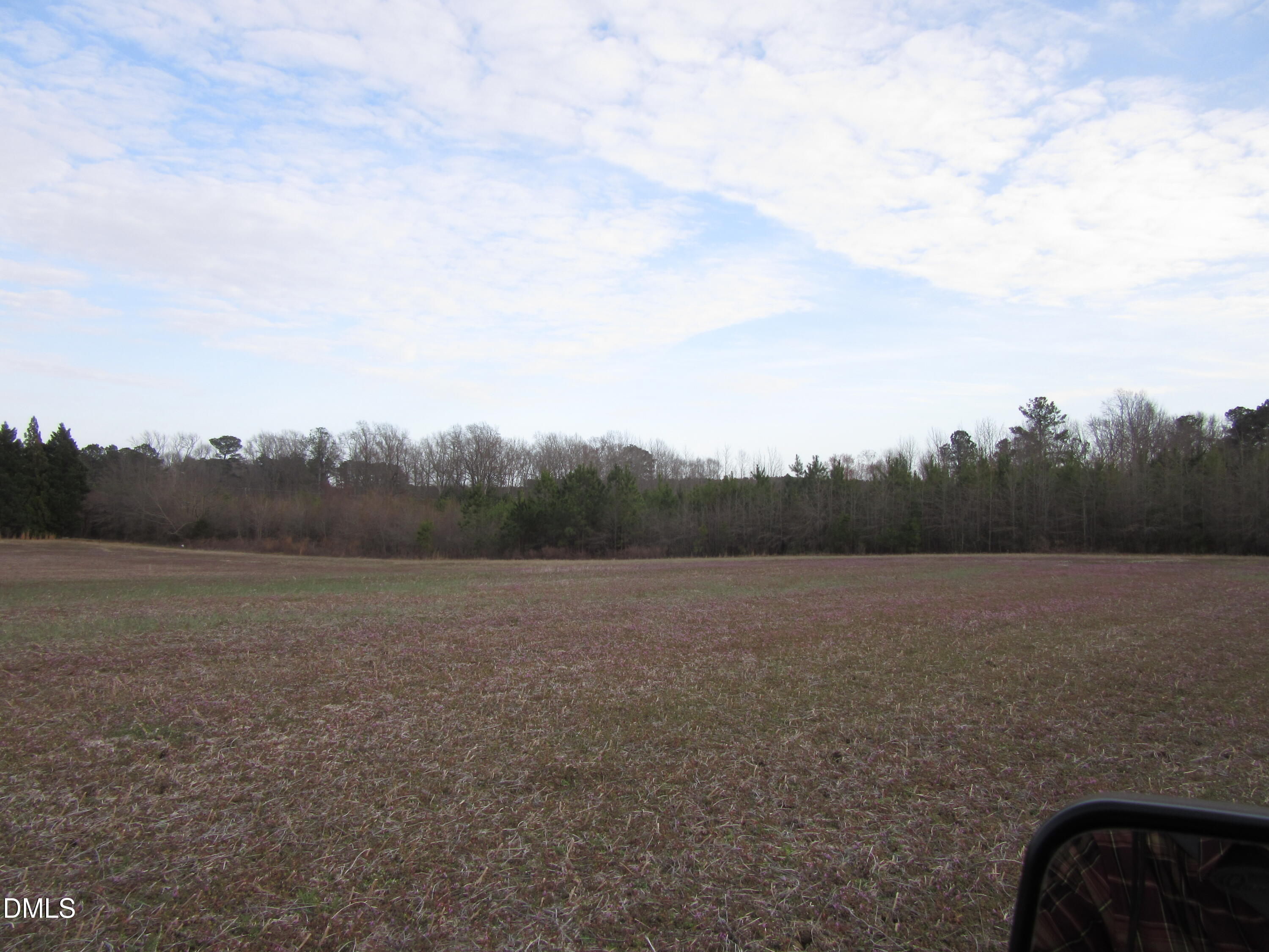 12 Acres Pearces Road Property Photo 4
