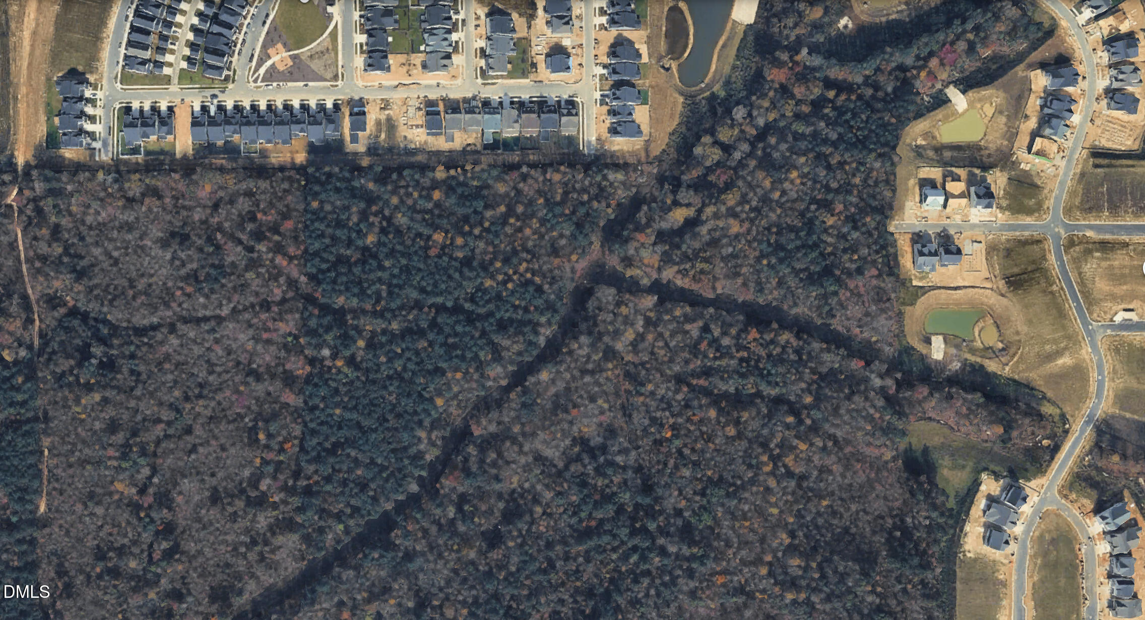 0 Martin Pond Road Property Photo 1