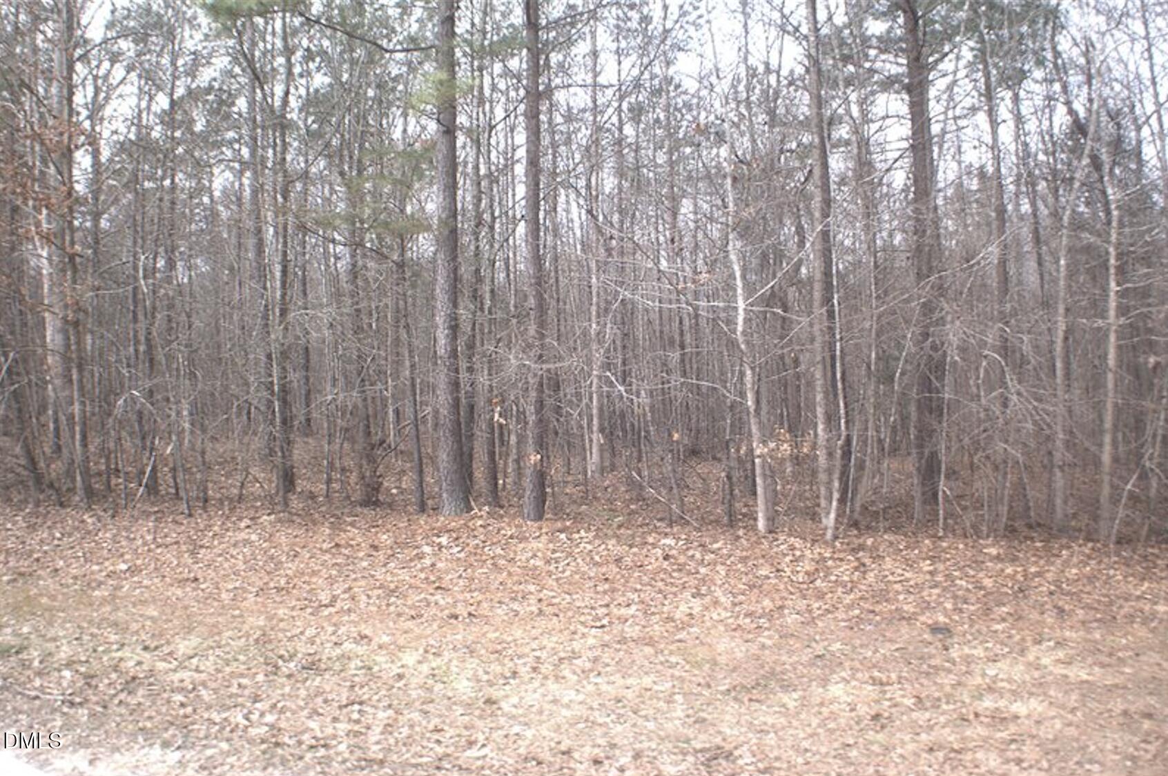 0 Martin Pond Road Property Photo 3