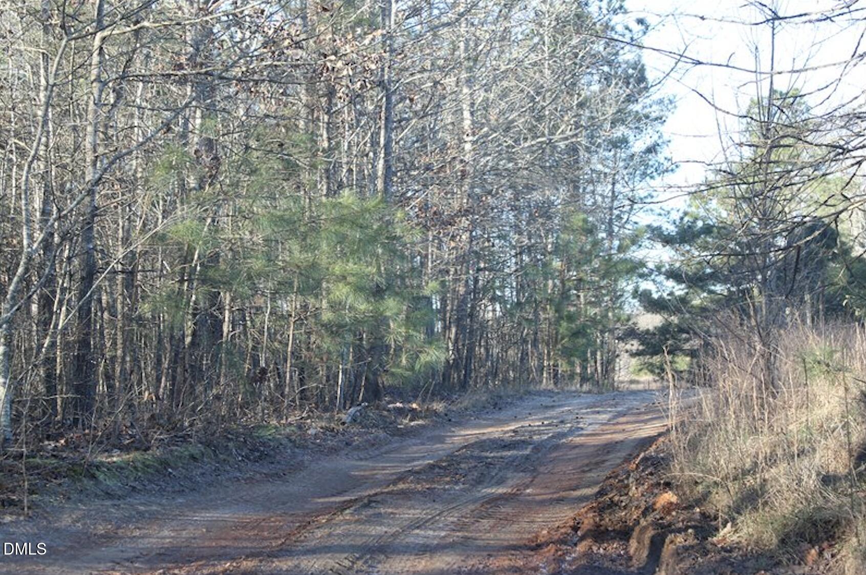 0 Martin Pond Road Property Photo 4