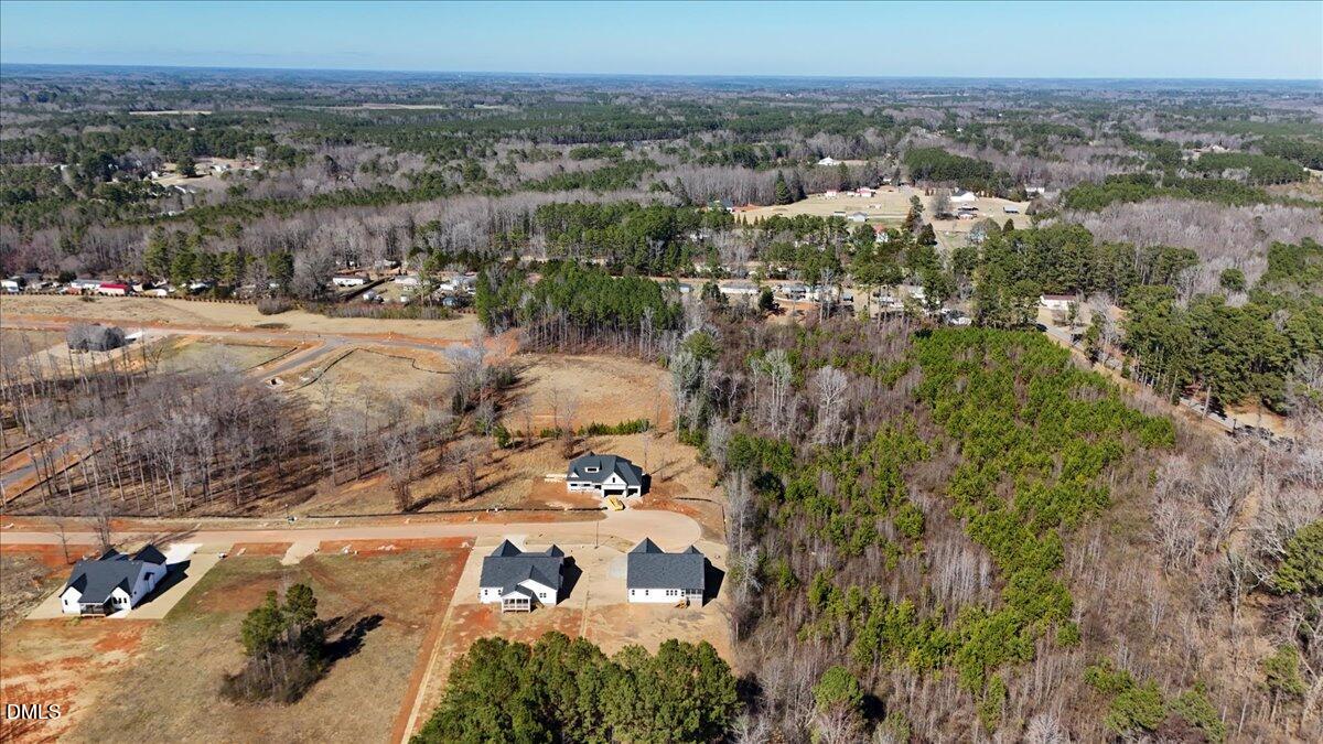 12615 Mallard Rock Drive Property Photo 86