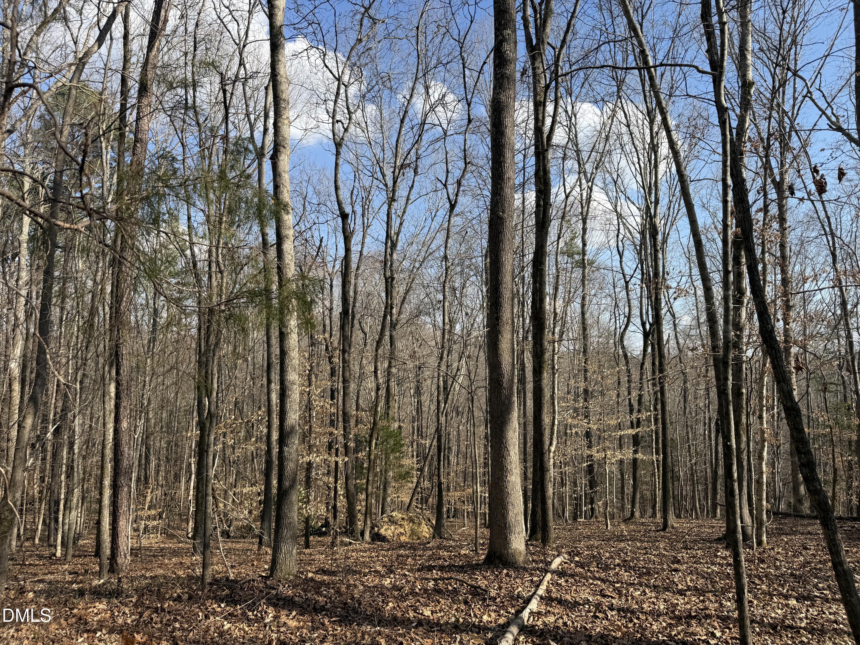 0 Birch Creek Farm Lane
