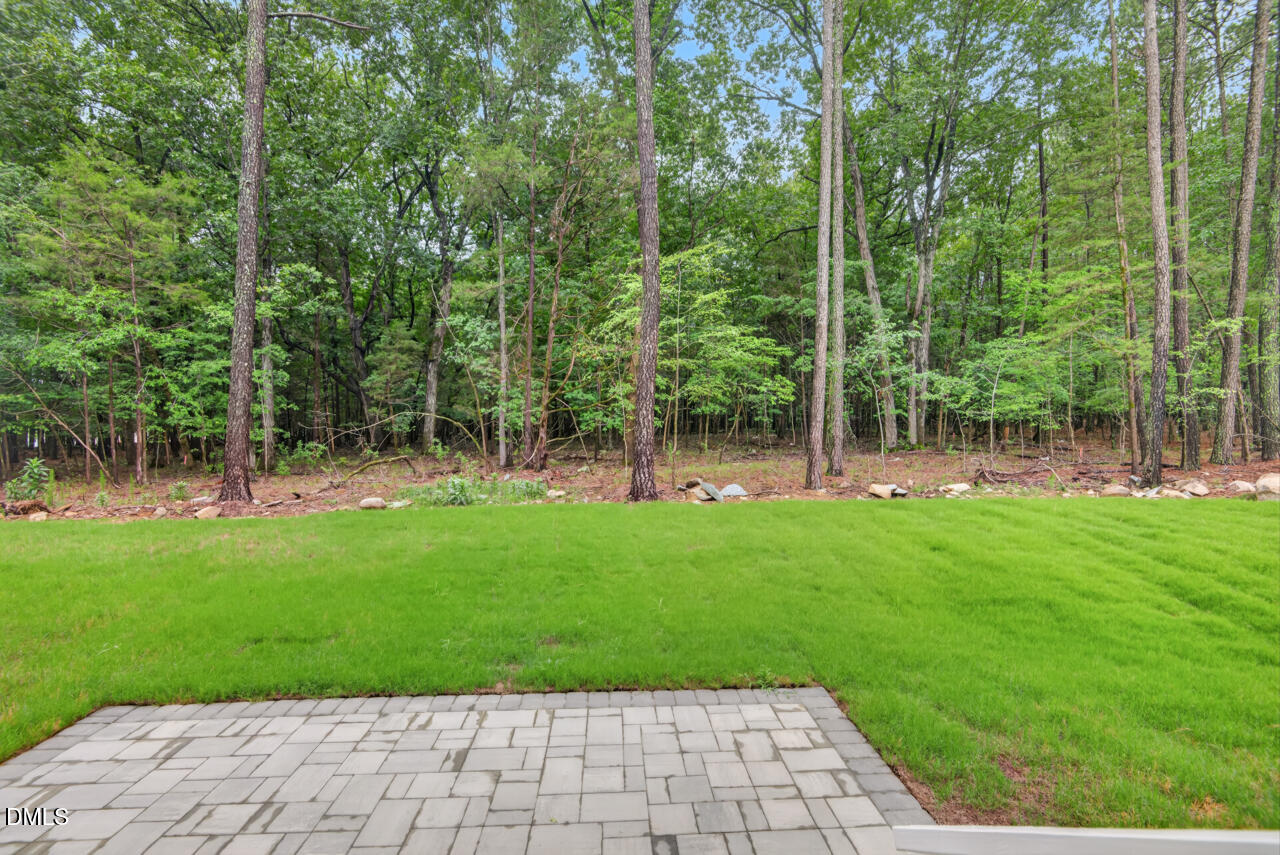 83 Black Bear Court Property Photo 53