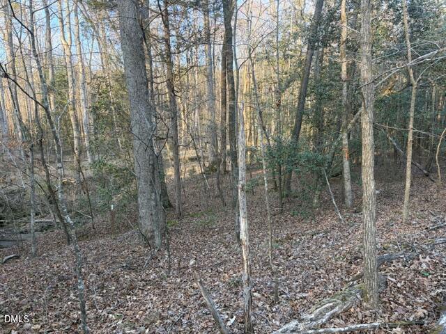 3829 Standing Pine Lane Property Photo 6