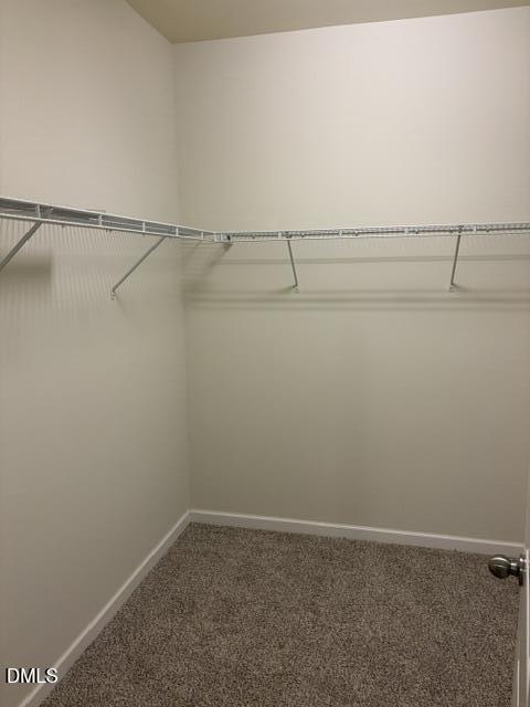 736 Treviso Lane Property Photo 12