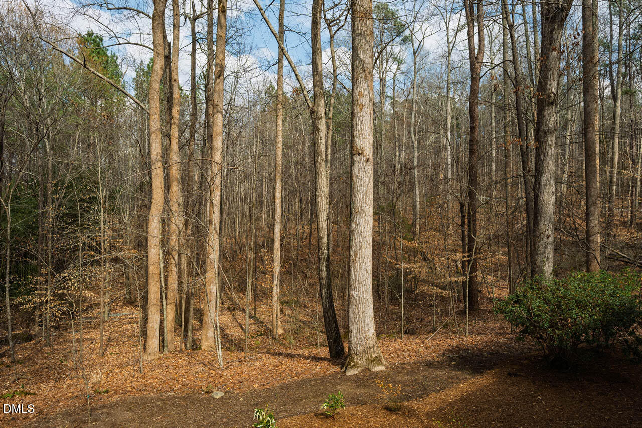 Lot 1 Marvin Edwards Lane Property Photo 1