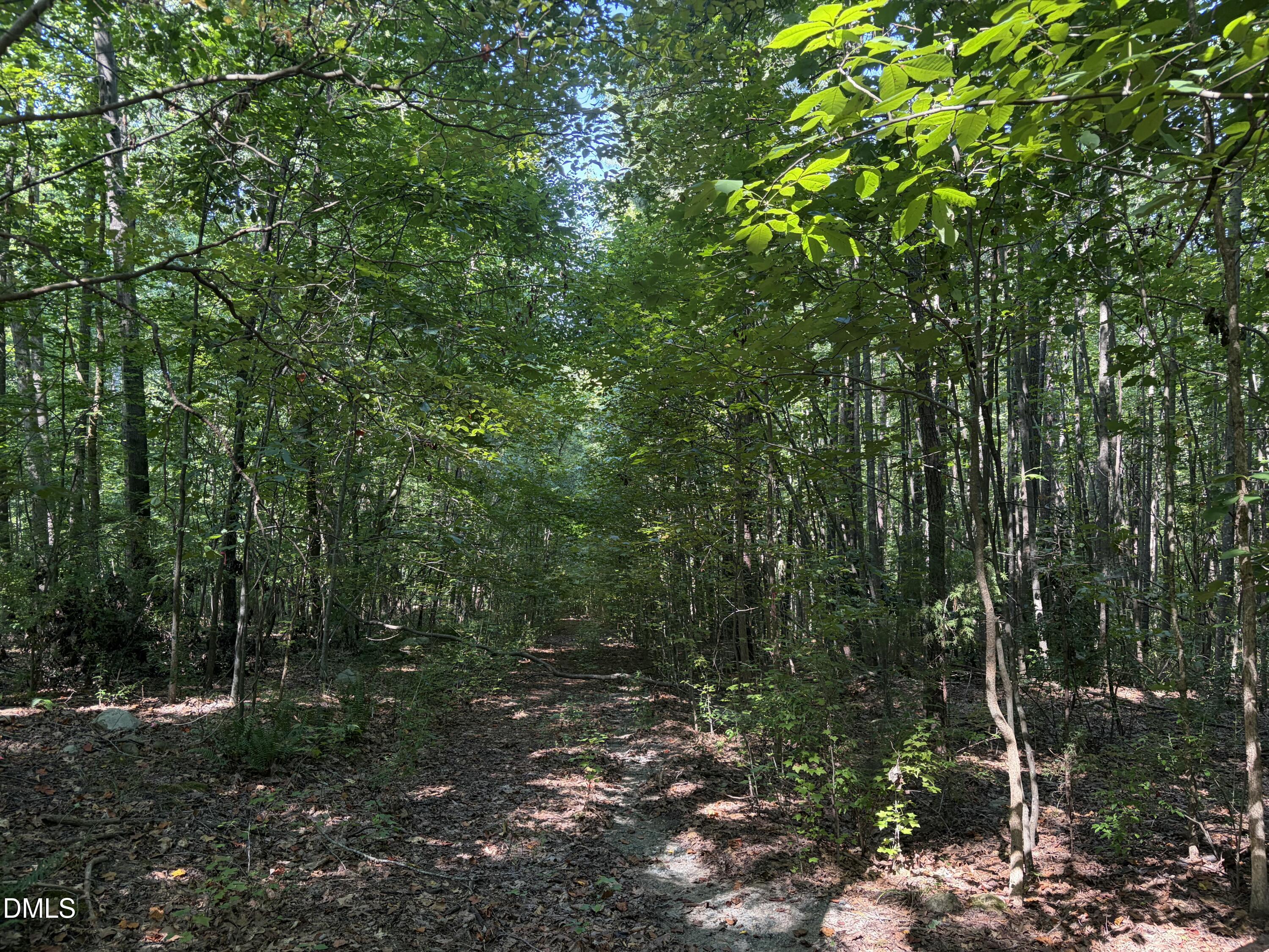 Lot 1 Marvin Edwards Lane Property Photo 1