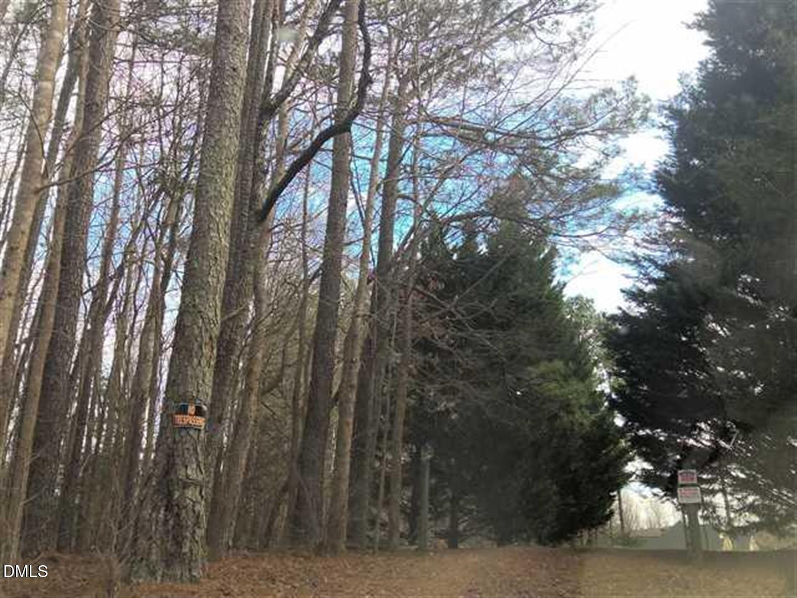 0 Johnson Town Road Property Photo 3