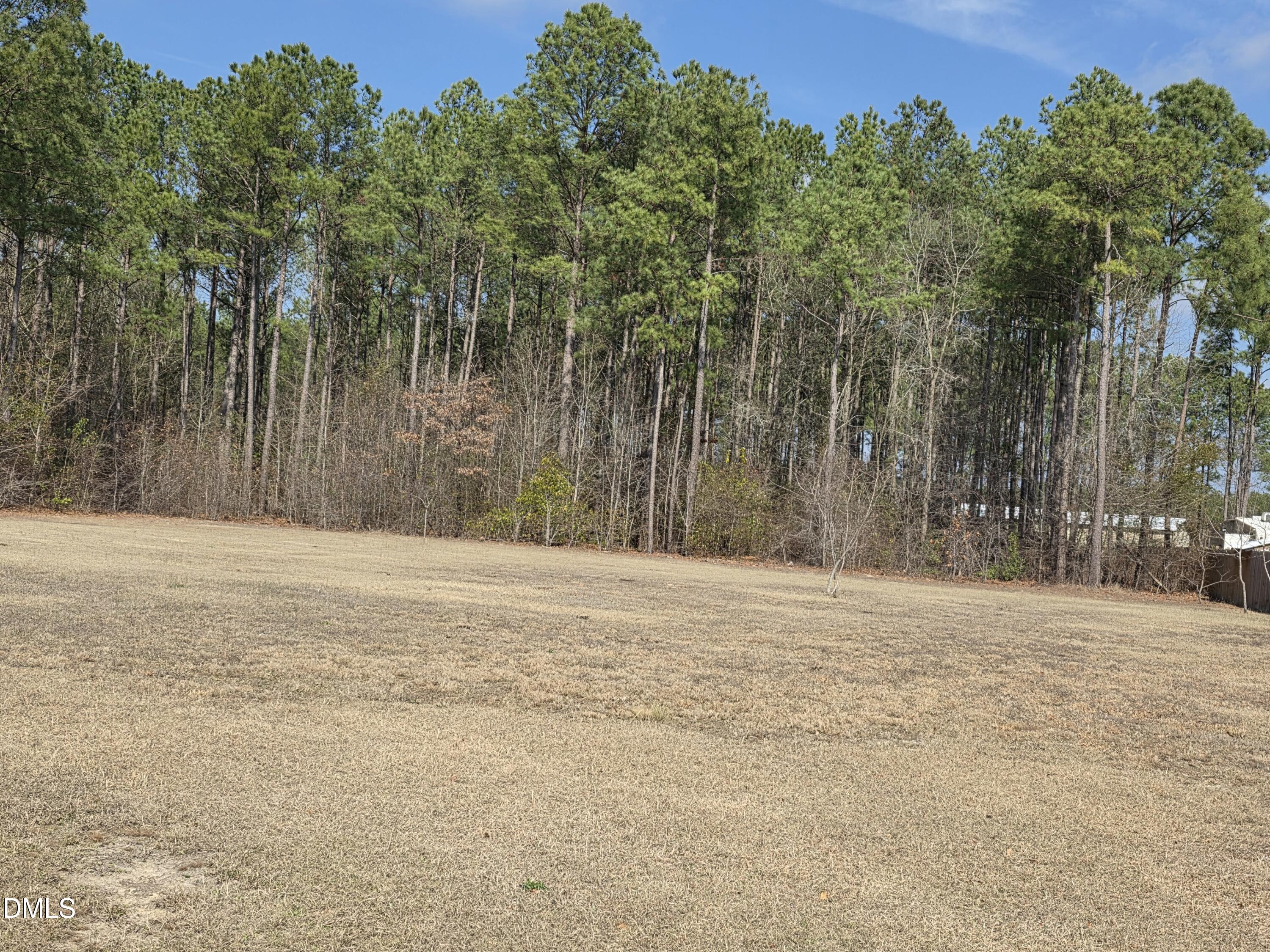 290 Raynor Sands Drive Property Photo 2