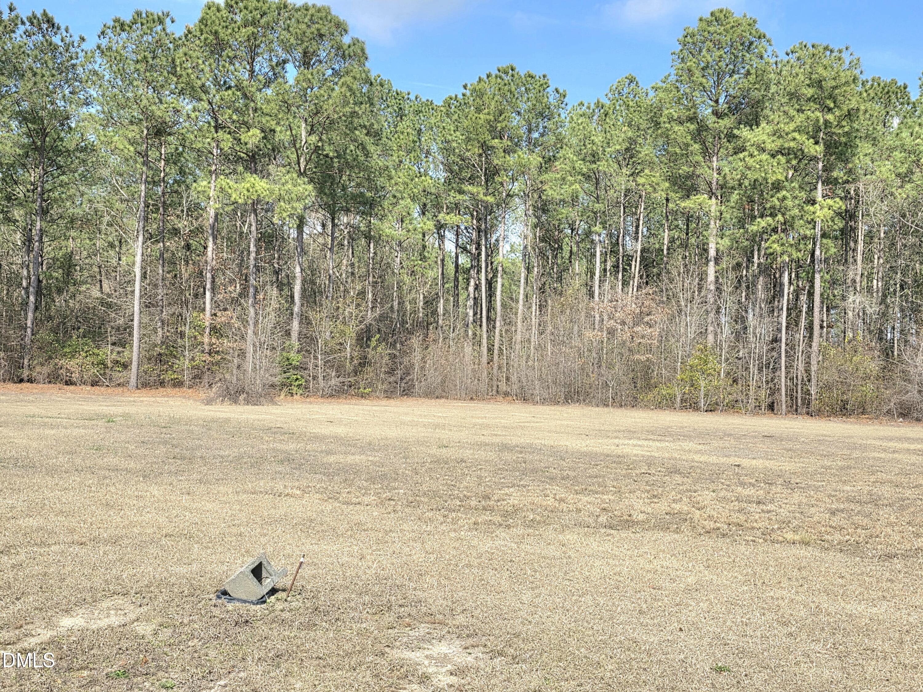 290 Raynor Sands Drive Property Photo 3