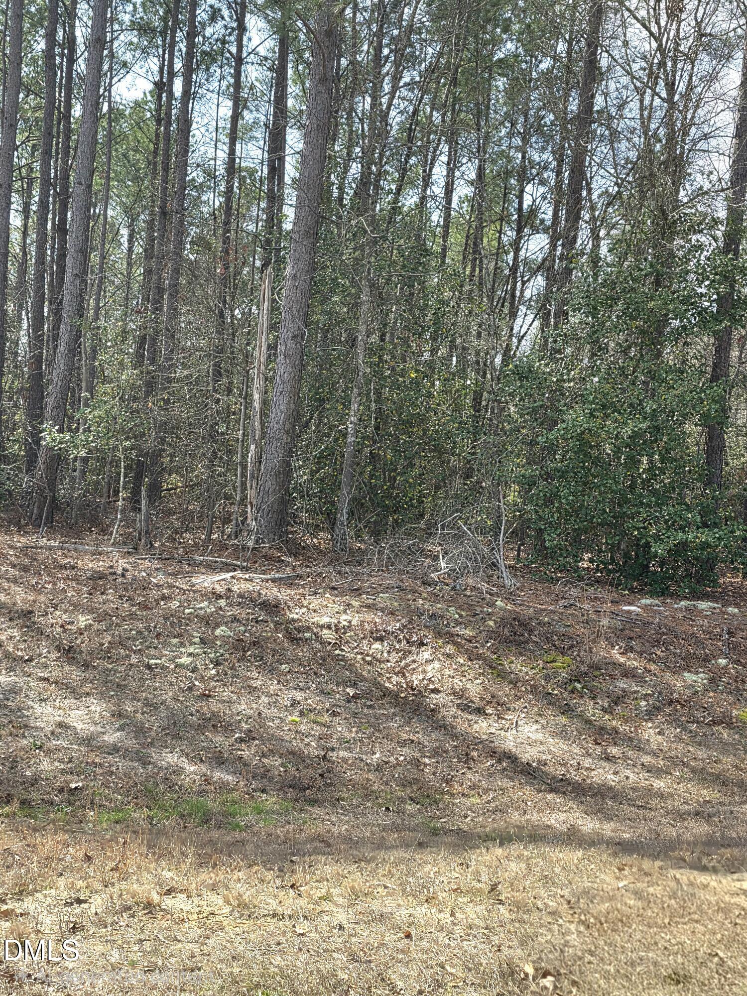 275 Raynor Sands Drive Property Photo 2