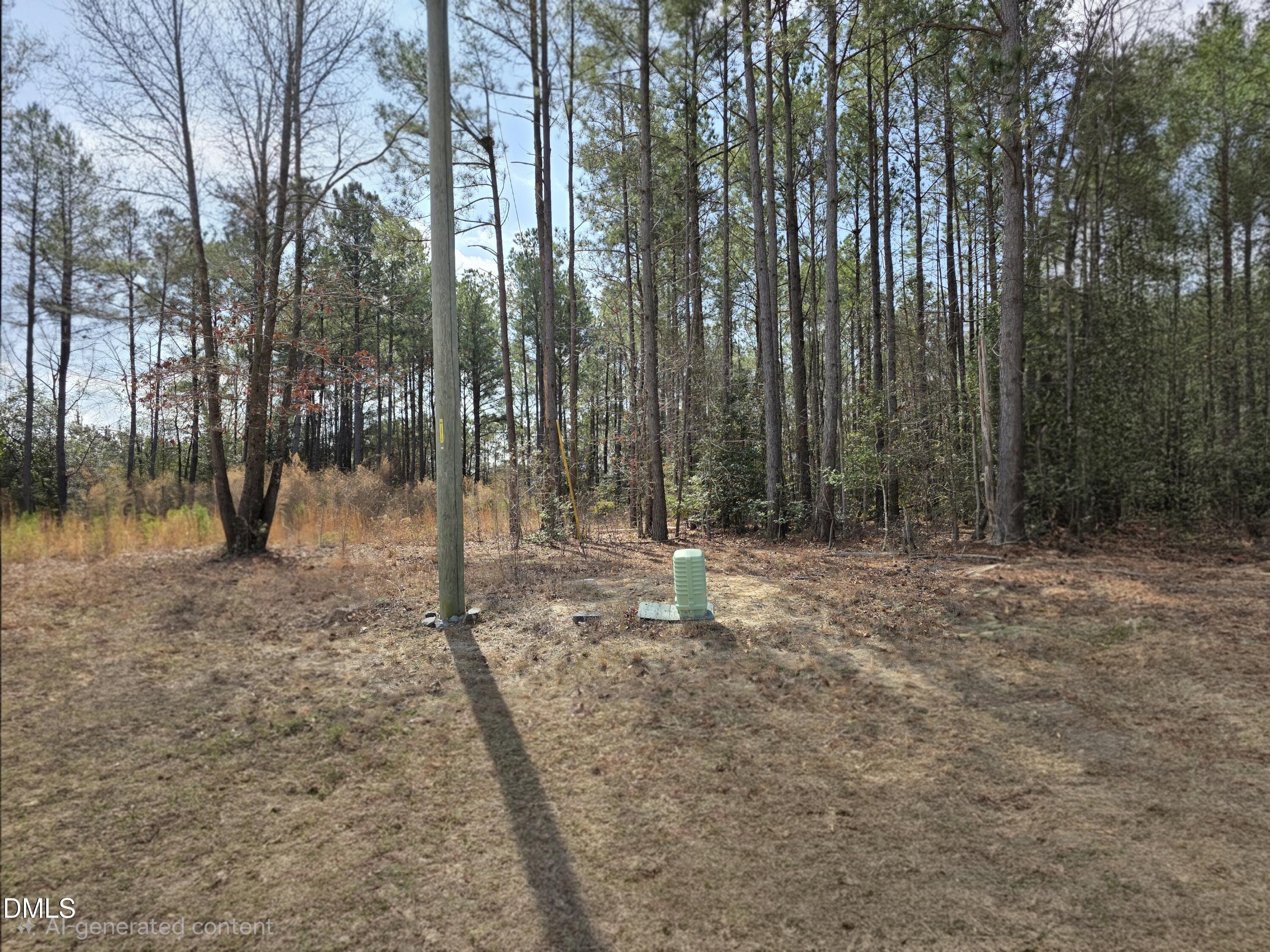 275 Raynor Sands Drive Property Photo 3