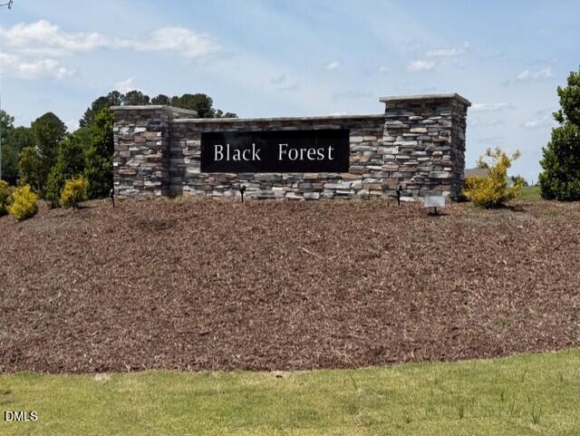 188 Black Forest Pointe Trail 48 Property Photo 27