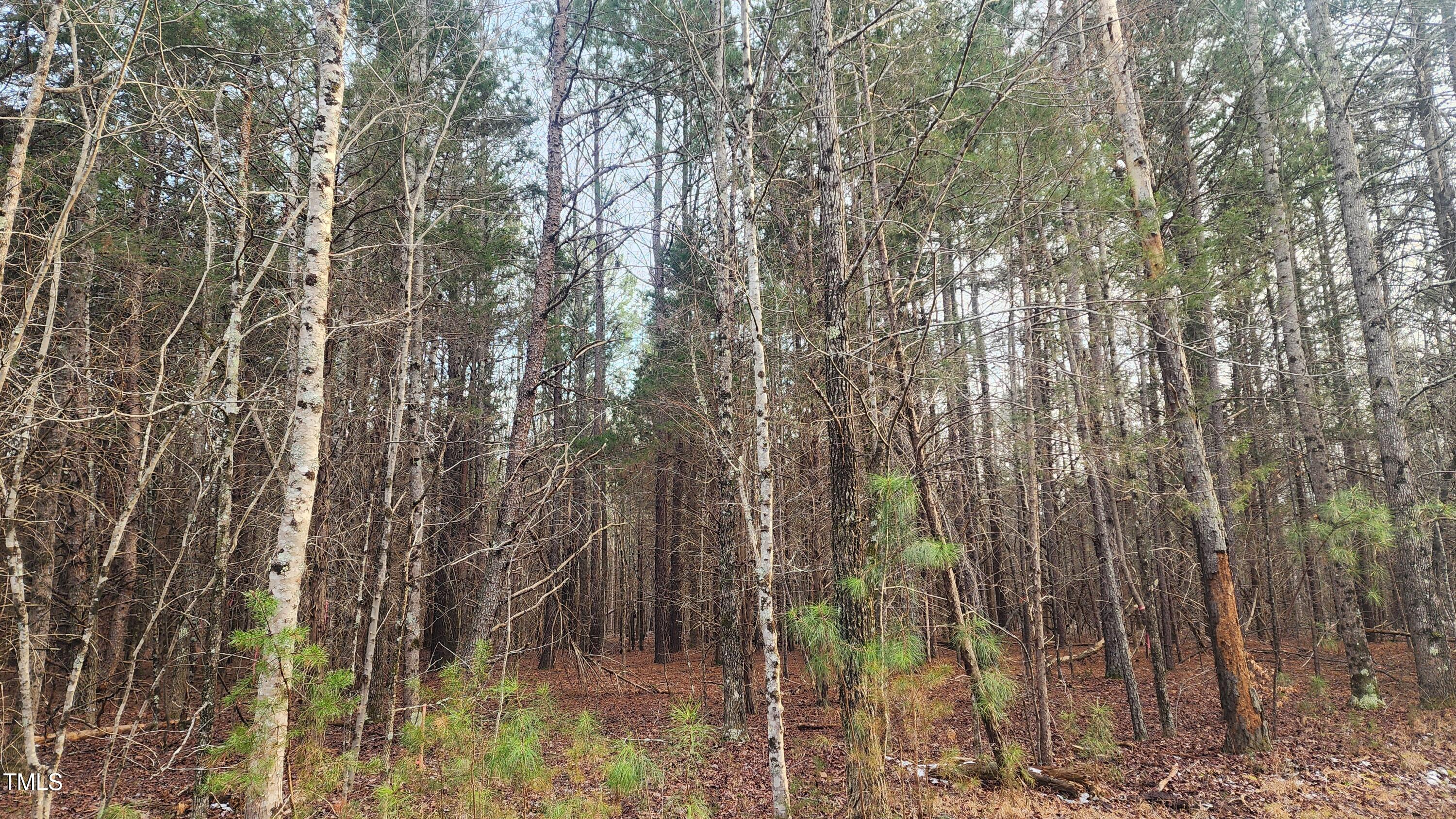 0 Northpointe Farms Trail Property Photo 12