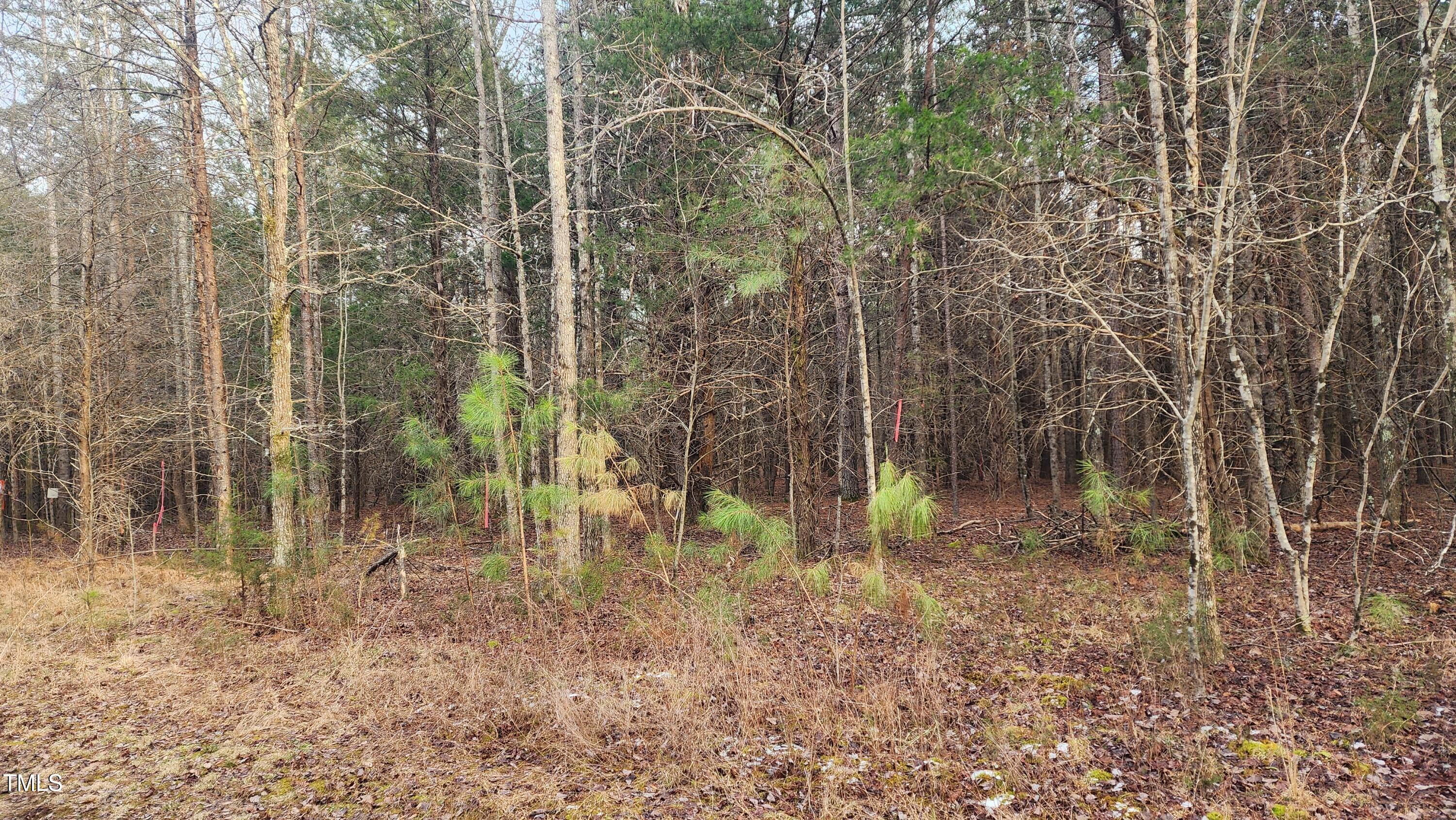 0 Northpointe Farms Trail Property Photo 13