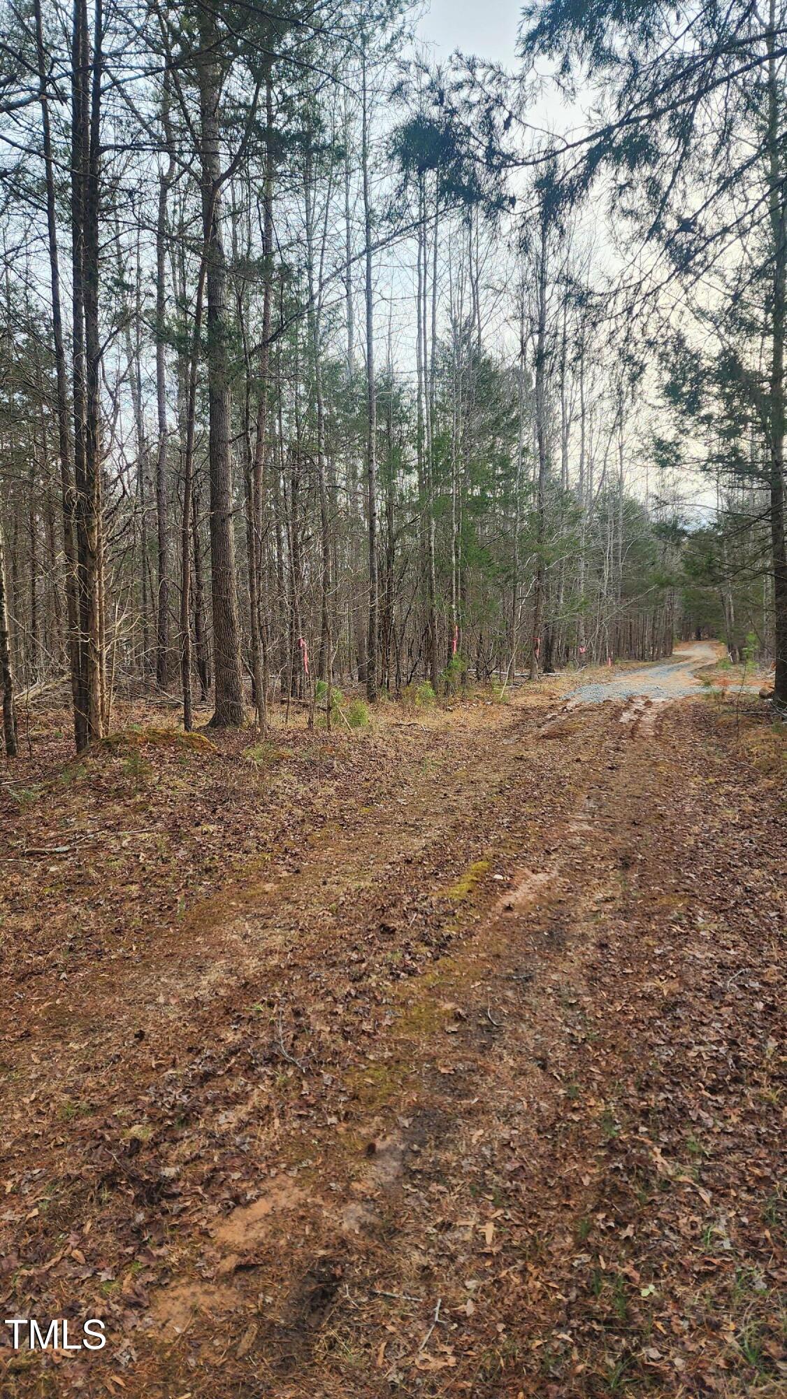 0 Northpointe Farms Trail Property Photo 17