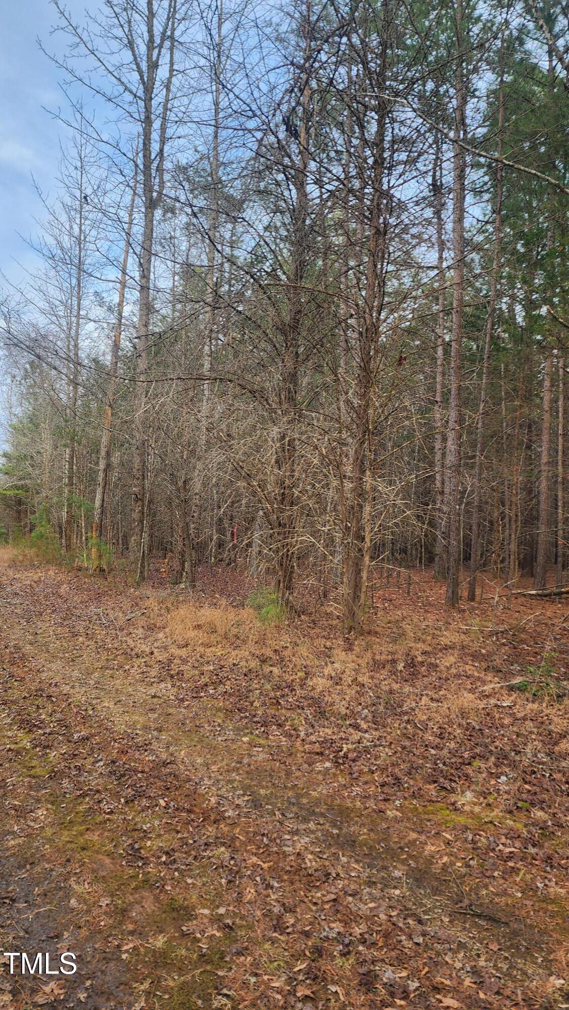 0 Northpointe Farms Trail Property Photo 18
