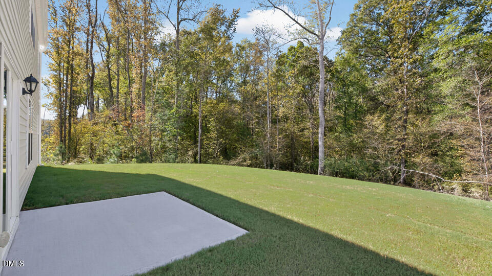 175 Reagan Crest Drive Property Photo 38