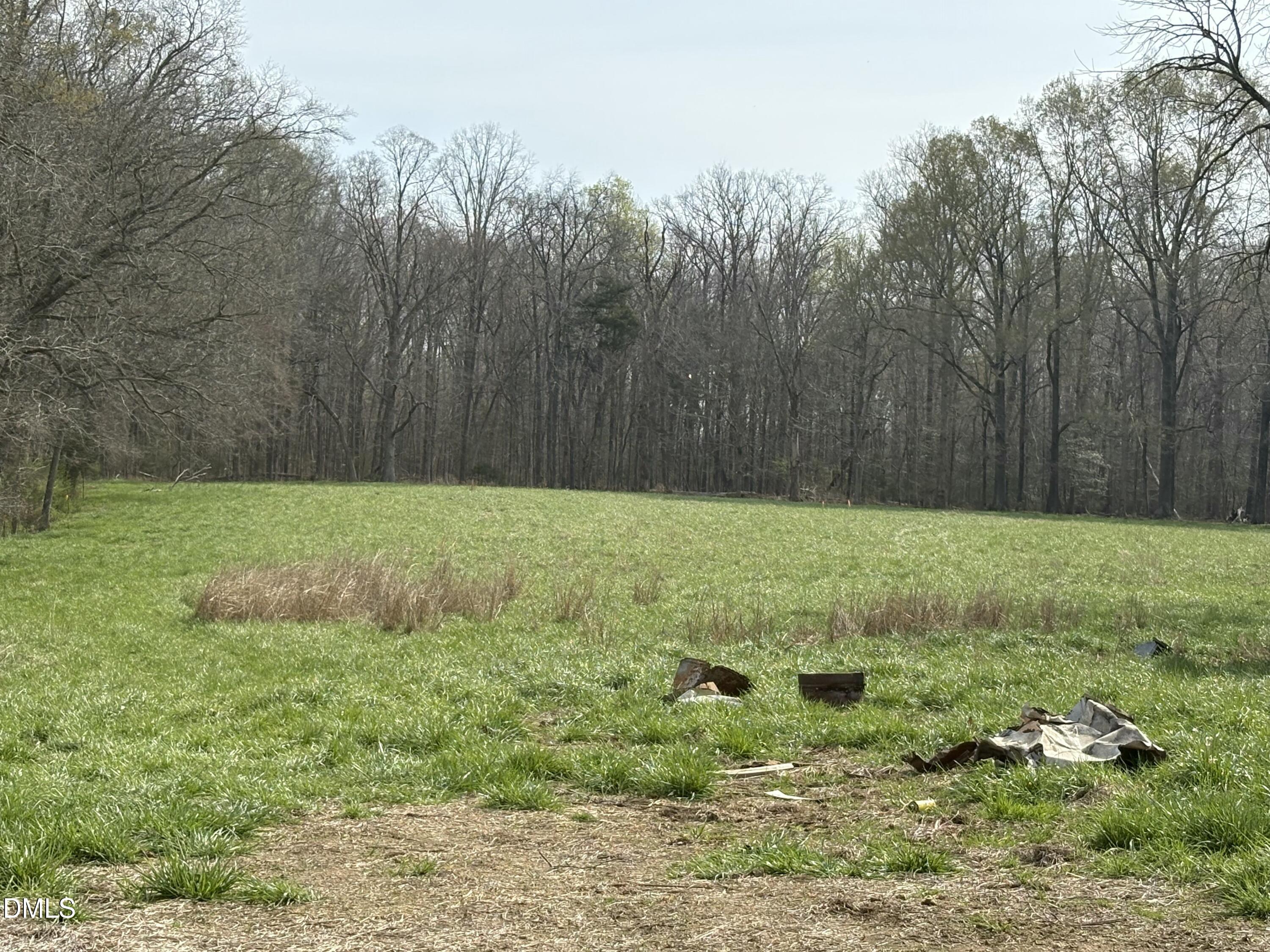 Lot 2 Winfred Brady Road Property Photo 1