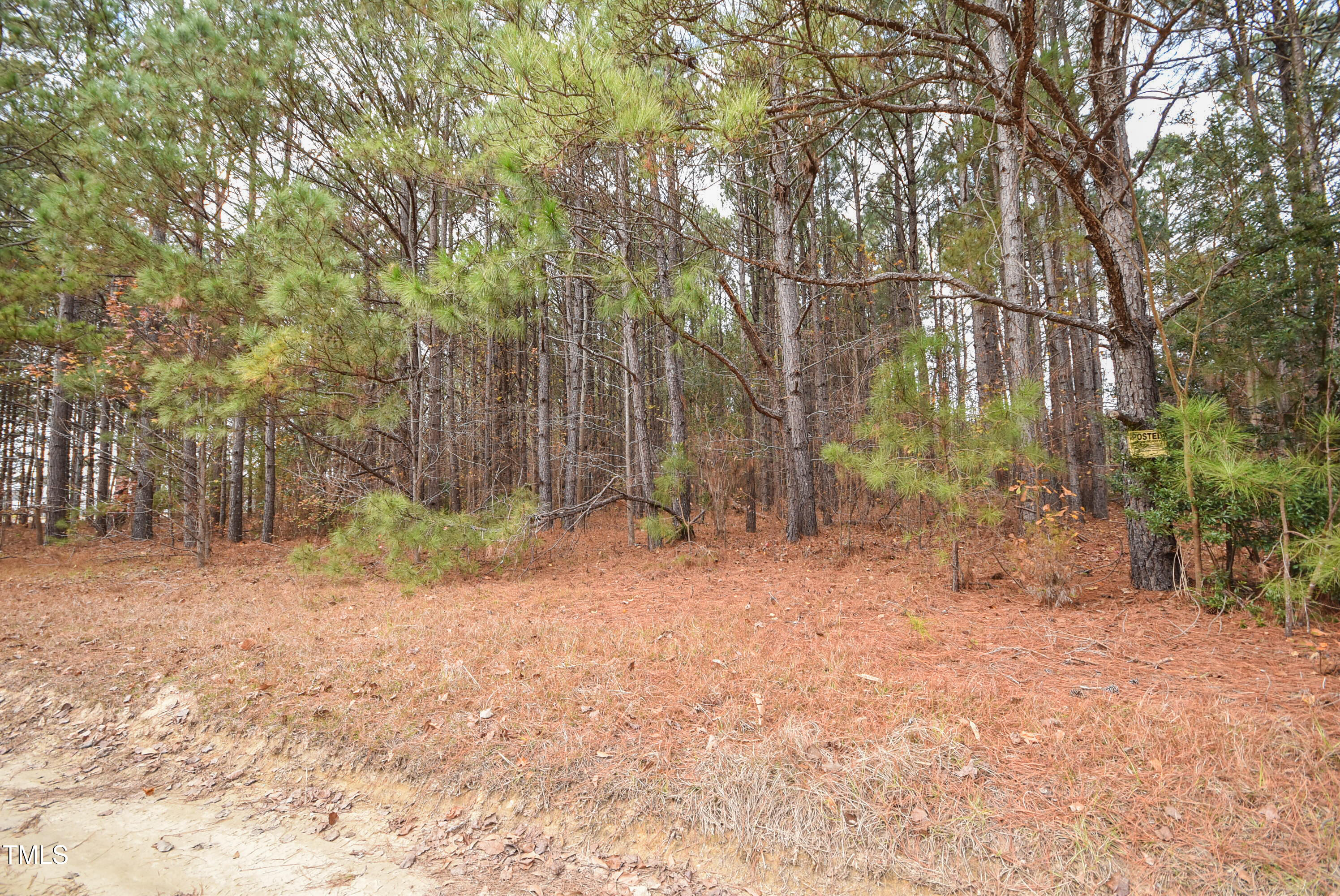 Parcel #3 Bob Lee Lane Property Photo 2