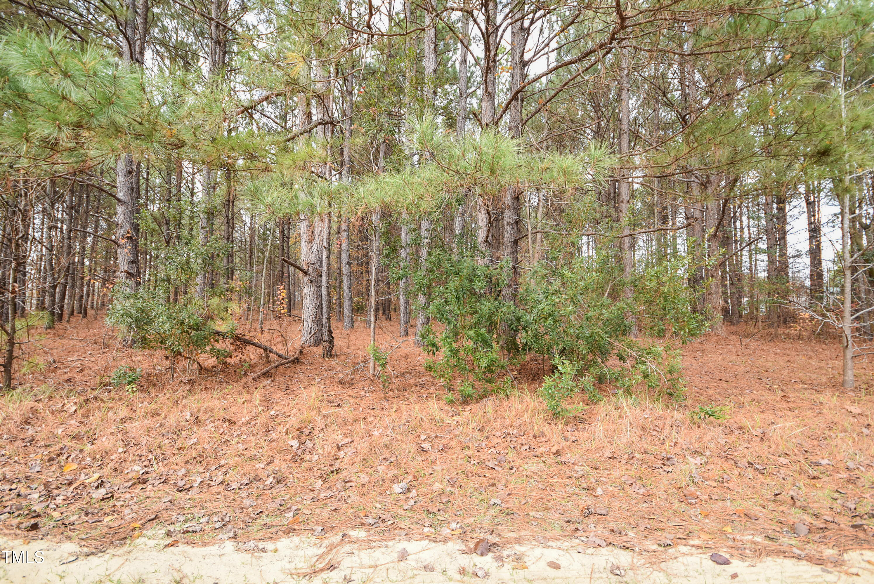 Parcel #3 Bob Lee Lane Property Photo 4