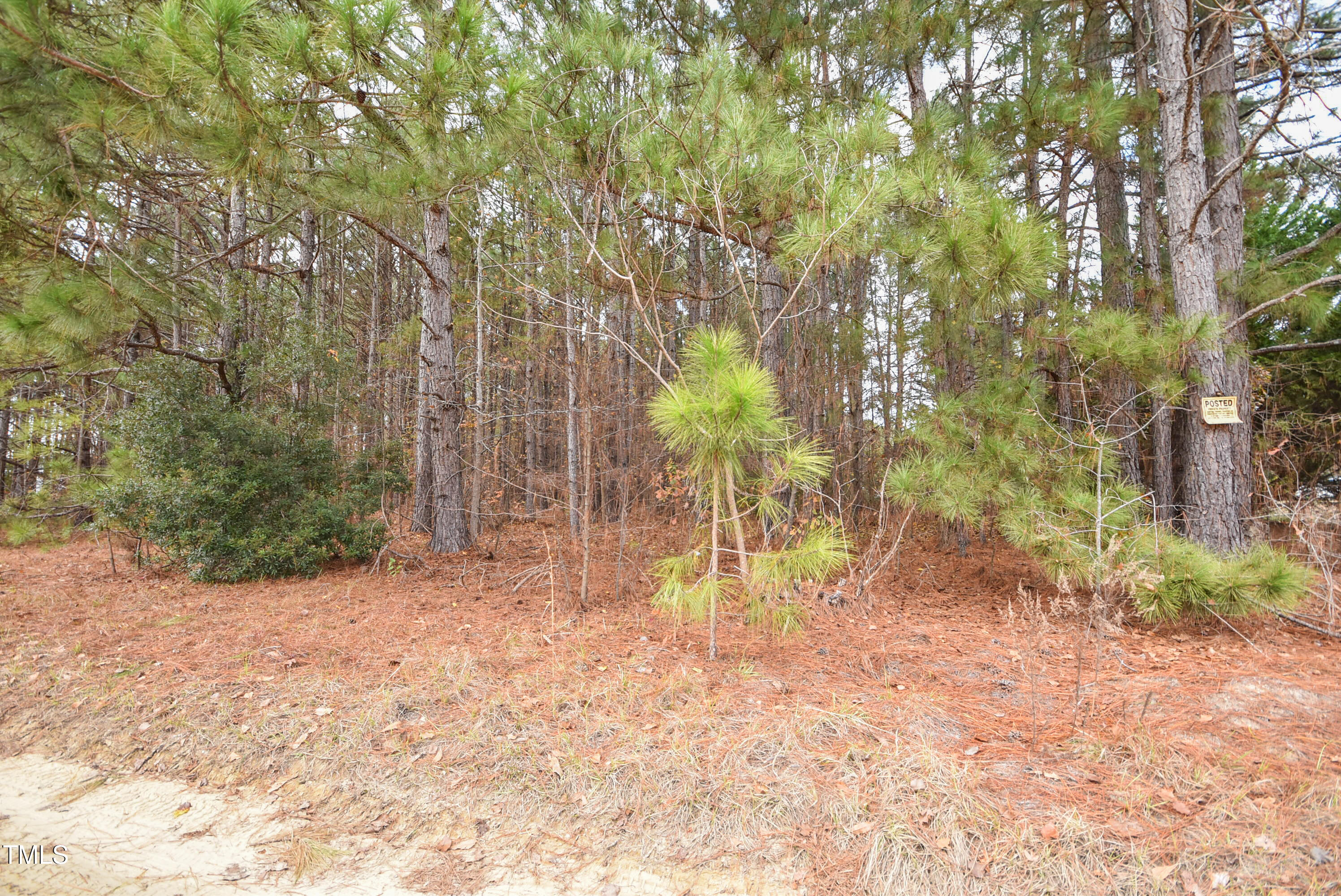 Parcel #3 Bob Lee Lane Property Photo 22