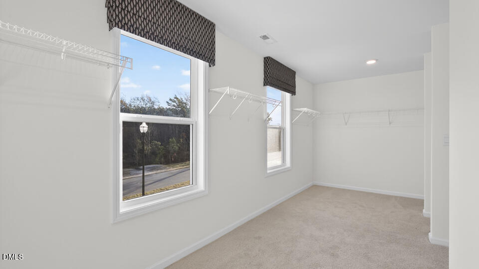 67 West Fire Opal Court Property Photo 23