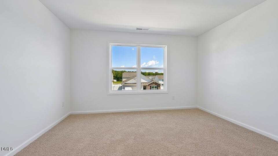 368 Swift Creek Farm Lane Property Photo 3