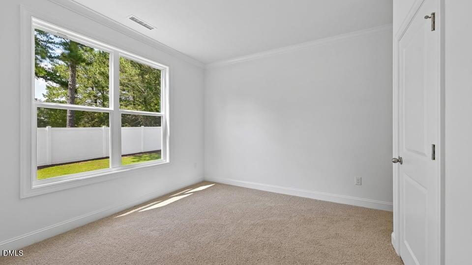 368 Swift Creek Farm Lane Property Photo 22