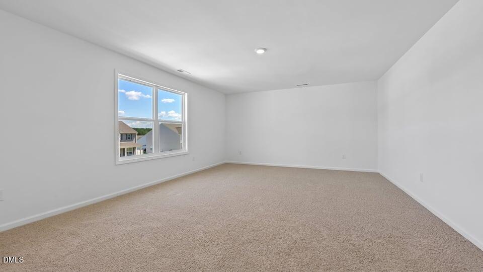 368 Swift Creek Farm Lane Property Photo 28