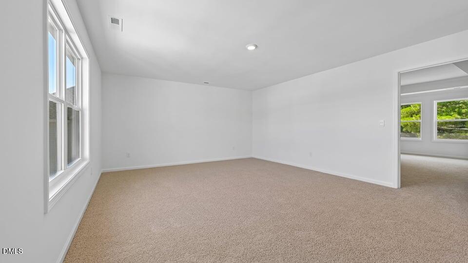 368 Swift Creek Farm Lane Property Photo 29
