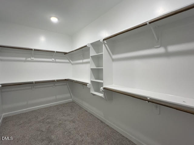 786 Olive Branch Drive Property Photo 16