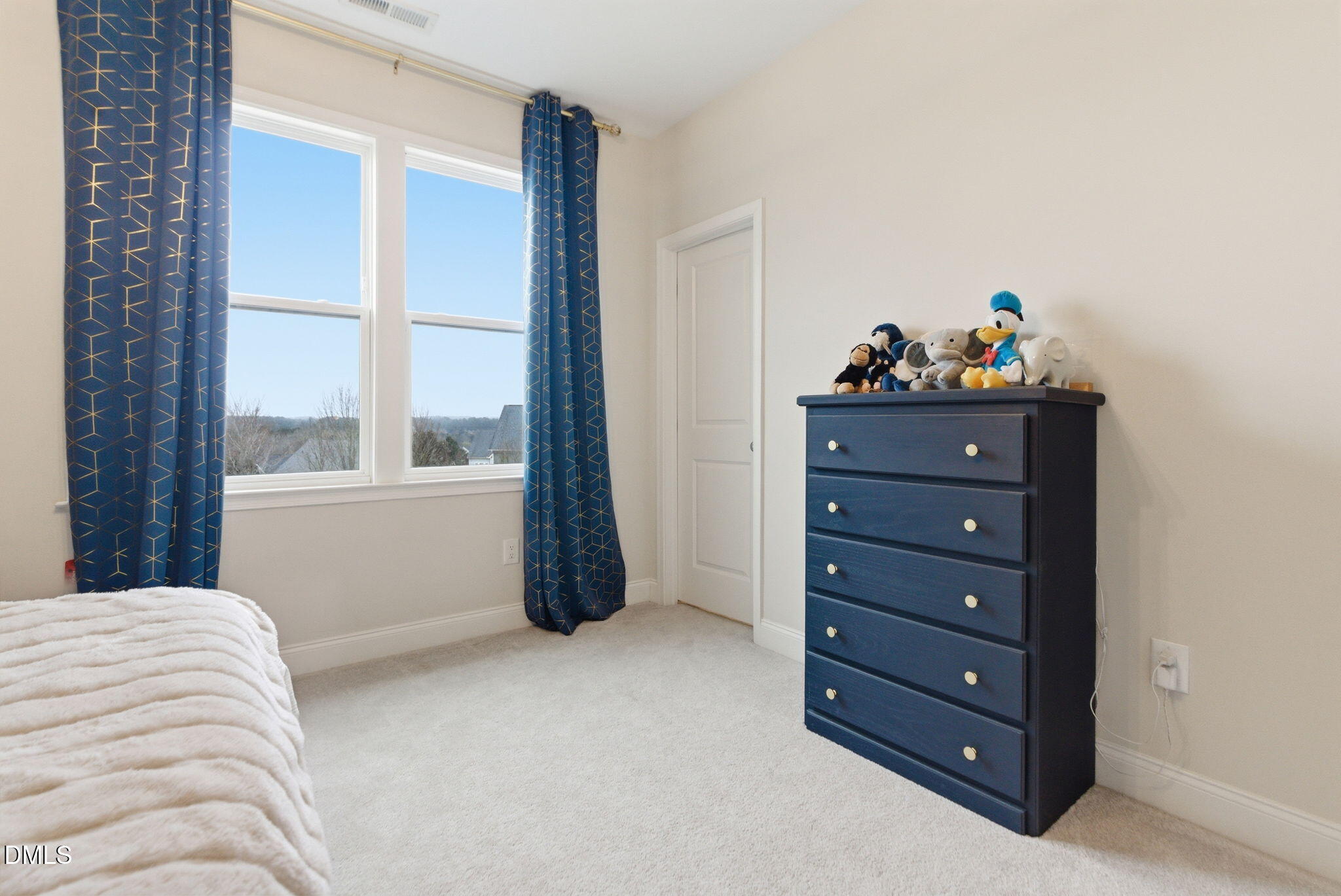 216 Artisan Park Drive Property Photo 41