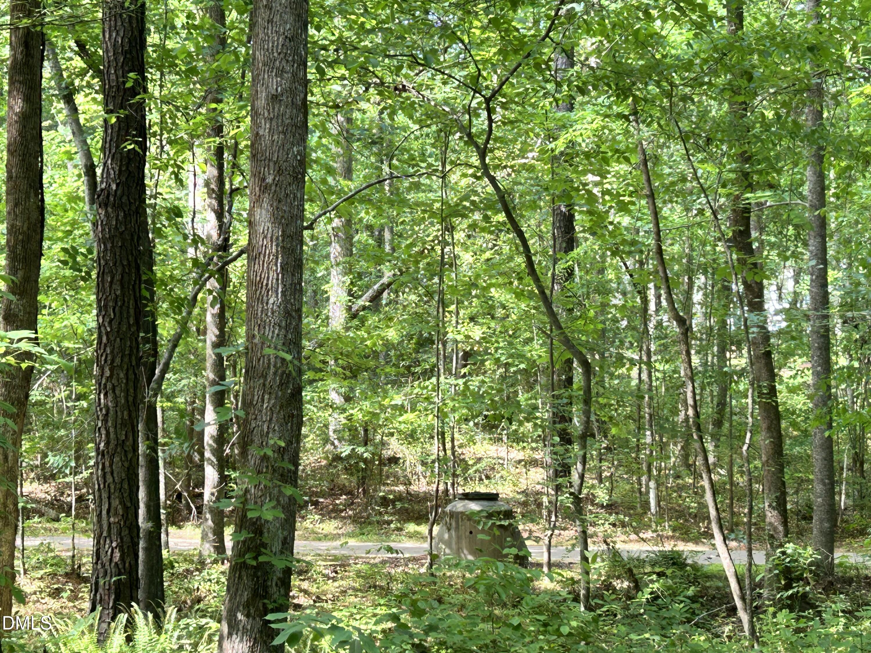 1123 Wake Robin Lane Property Photo 10