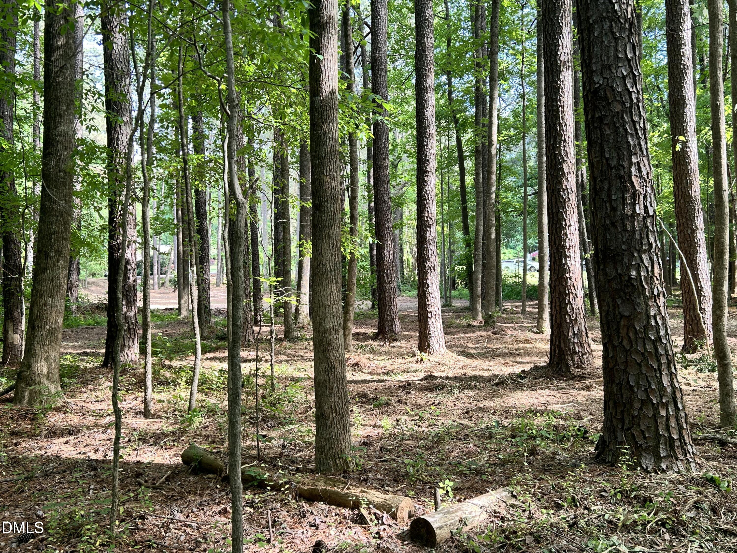 1123 Wake Robin Lane Property Photo 11