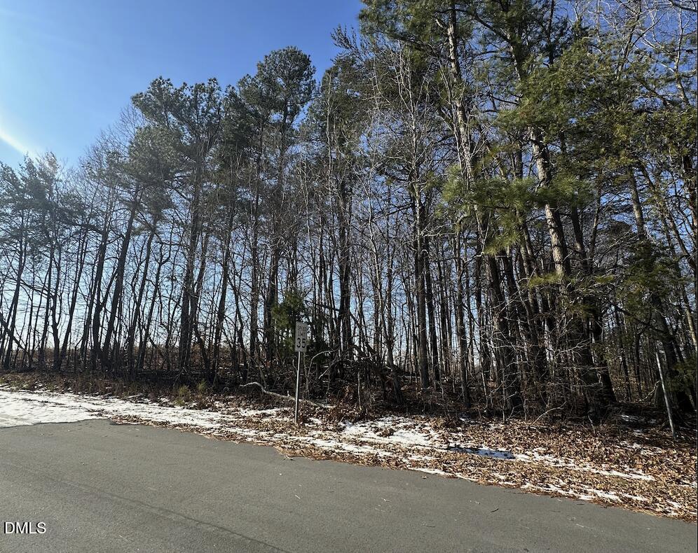 0 Pierce Denny Road Property Photo 1