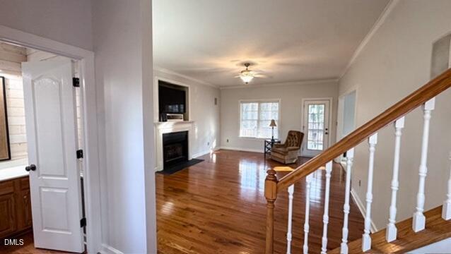 97 Carrousel Court Property Photo 19